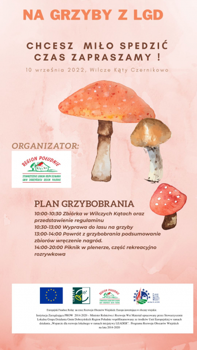 Grzybobranie - Stowarzyszenie Lokalna Grupa Działania Gmin Dobrzyńskich Region Południe zaprasza