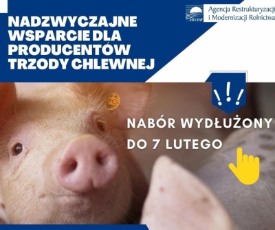 Pomoc z PROW dla hodowców świń: czas na składanie wniosków wydłużony do 7 lutego