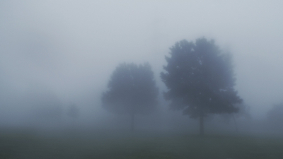 Ostrzeżenia meteorologiczne: gęsta mgła